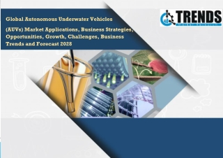 Autonomous Underwater Vehicles (AUVs) Market Dynamics, Trends, Efficiencies Forecast 2028