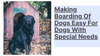 Making Boarding Of Dogs Easy For Dogs With Special Needs