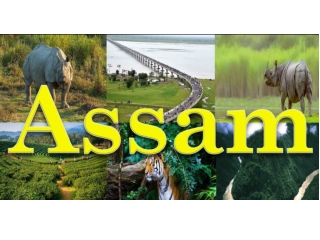 Amazing places to visit in Assam