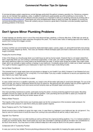 Business Plumbing Professional Tips On Maintenance