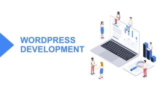 Wordpress Website Design Dubai