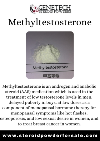 Methyltestosterone - Genetech Steroid Powders Buy Methyltestosterone