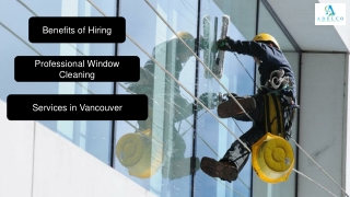 Ultimate Benefits of Hiring Window Cleaning Vancouver Experts