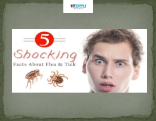 Shocking Facts about Flea and Ticks