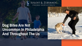 Dog Bites Are Not Uncommon in Philadelphia And Throughout The Us