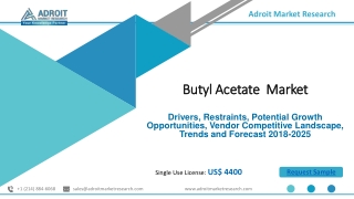Global Butyl Acetate Market Size, Share, Growth, Price Trends 2025