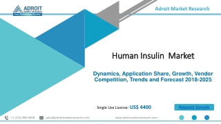 Human Insulin Market Size, Share , Industry Growth Forecast Till 2025