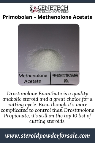 Primobolan – Methenolone Acetate - Genetech Steroid Powders Primobola