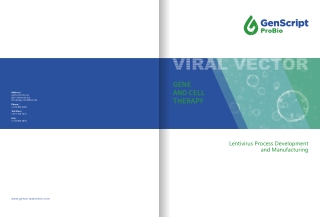 High-quality GMP and Adherent Lentivirus Production Manufacturing Services