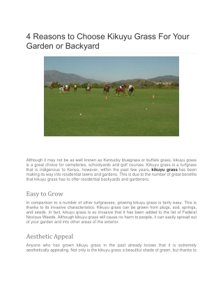 4 Reasons to Choose Kikuyu Grass For Your Garden or Backyard