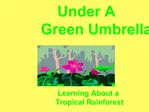 Under A Green Umbrella