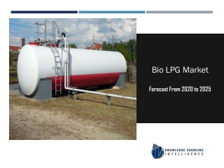 Segment Analysis On Bio LPG Market