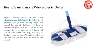 Best Cleaning mops Wholesaler in Dubai