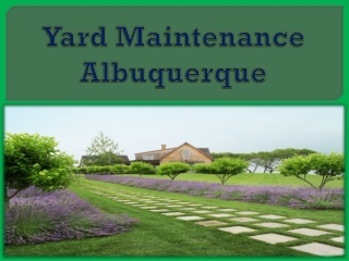 Yard Maintenance Albuquerque