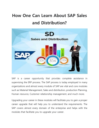 How One Can Learn About SAP Sales and Distribution?