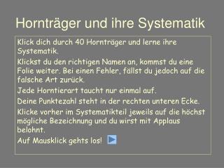 Hornträger und ihre Systematik