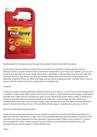 Flea Treatment plans For Puppies And Get Concentrated! Be Direct! Hit the Flea With Flea Spray!