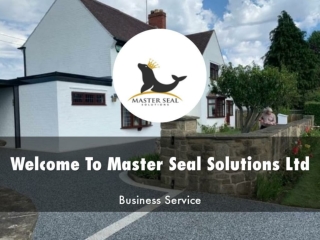 Detail Presentation About Master Seal Solutions