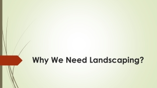 Why We Need Landscaping?