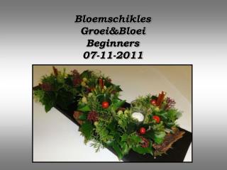 Bloemschikles Groei&amp;Bloei Beginners 07-11-2011