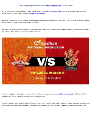 How Experts provides Cricket Match Prediction at Cricadium