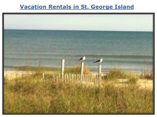 Vacation Rentals St. George Island