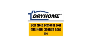 Best Mold removal cost and Mold cleanup near me