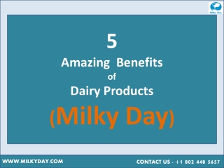 5  Amazing  Benefits   of  Dairy Products - Milky Day