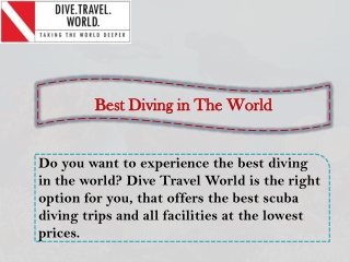 Best Diving in The World