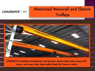 Motorized Monorail and Electric Trolleys