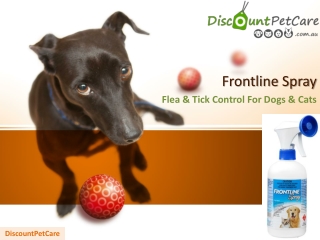 Frontline Spray Flea and Tick Control for Cats and Dogs Online - DiscountPetCare