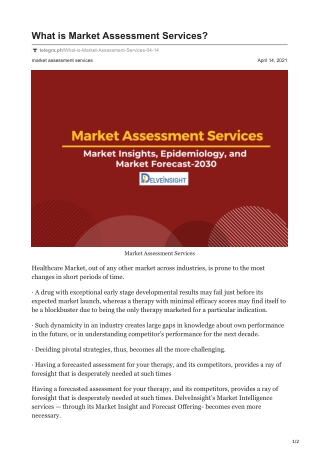 What is Market Assessment Services?