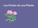 Las Partes de una Planta