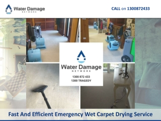 Fast And Efficient Emergency Wet Carpet Drying Service