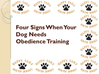 Professional Dog Training in New Jersey