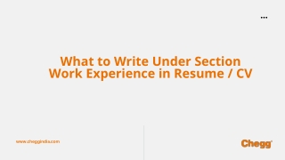 How to write work experience in a resume?