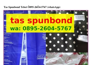 Tas Spunbond Tebet Ö895_2ᏮÖ4_57Ꮾ7{WA}