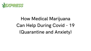 Quarantine and Anxiety: How Medical Marijuana Can Help