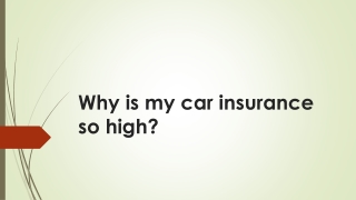 Why is my car insurance so high?