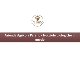 Nocciole biologiche in guscio