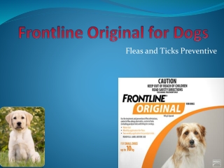 Frontline Original for Dogs - Best Flea and Tick Treatment