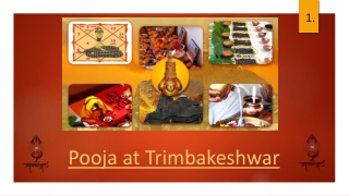 Puja Performed at Trimbakeshwar | Pooja in Trimbakeshwar