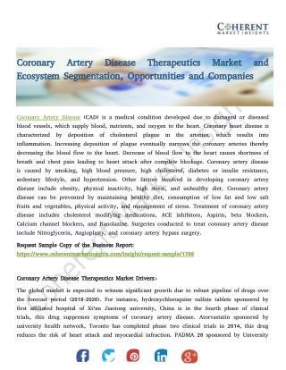 Coronary Artery Disease Therapeutics Market and Ecosystem Segmentation, Opportunities and Companies