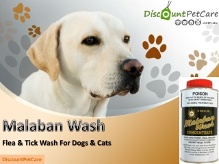 Buy Malaban Wash for Dogs & Cats Online - DiscountPetCare