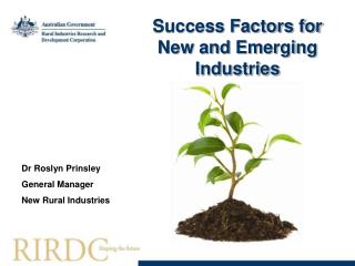 Success Factors for New and Emerging Industries