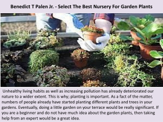 Benedict T Palen Jr. - Select The Best Nursery For Garden Plants