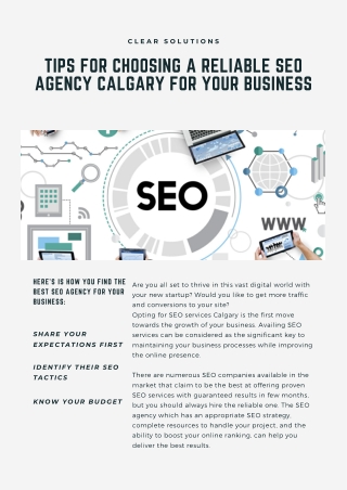 Tips for Choosing a Reliable SEO Agency Calgary for Your Business