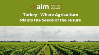 Where Agriculture Plants the Seeds of the Future