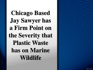 Chicago Based Jay Sawyer has a Firm Point on the Severity that Plastic Waste has on Marine Wildlife