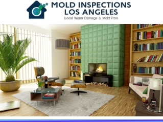 Professional Mold Testing La